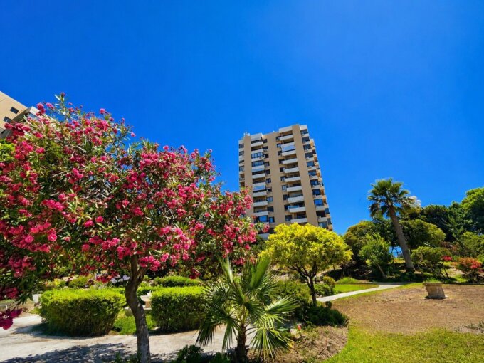 Furnished 1 Bedroom Apartment for Rent in Nueva Andalucía, Marbella