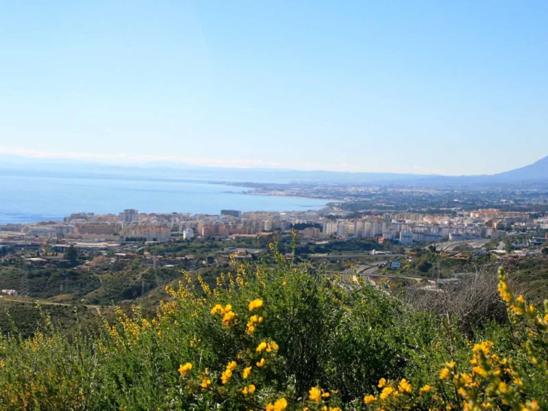 Apartment for Sale in Altos de los Monteros, Los Monteros, Marbella
