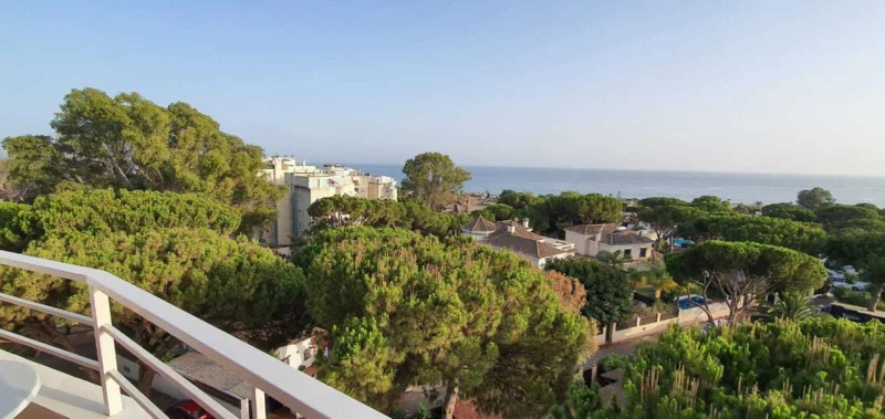 Furnished 1 Bedroom Apartment with Terrace for Rent in Las Chapas, Marbella