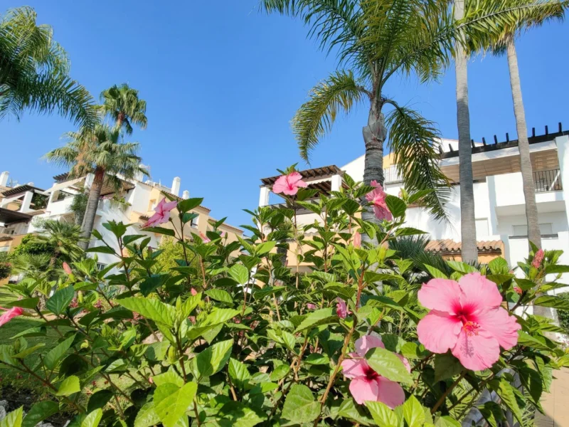 4 Bedroom Apartment with Terrace for Rent in Río Real, Marbella