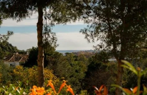 2 Bedroom Apartment with Terrace for Sale in Los Almendros, Benahavís
