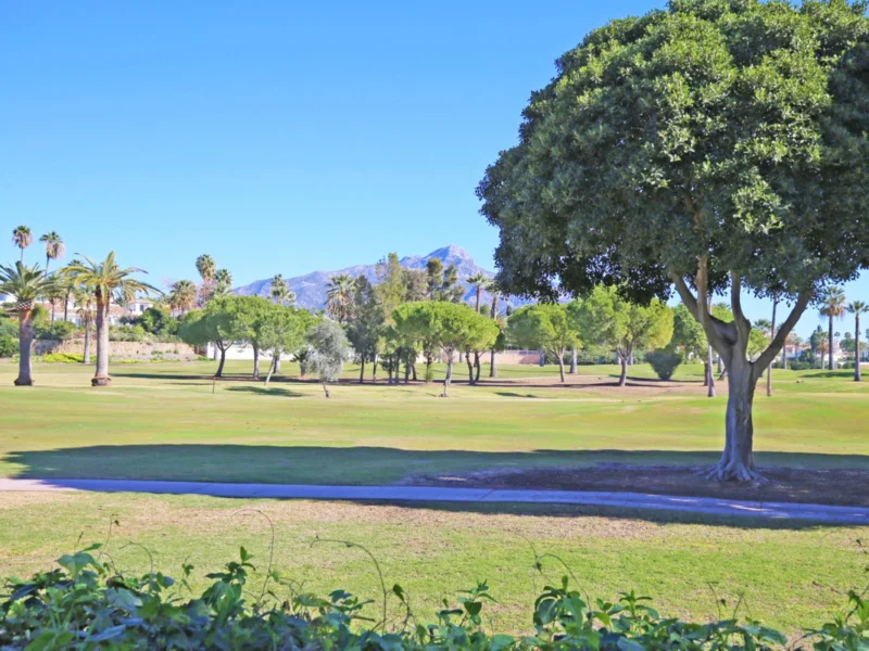 5 Bedroom Private Villa for Sale in Nueva Andalucía, Marbella