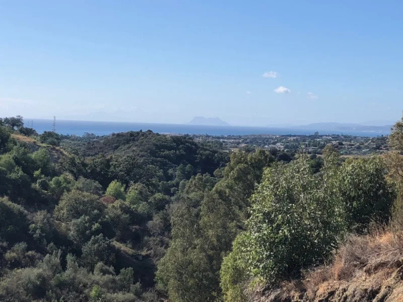 Apartment for Sale in Selwo, Nueva Milla de Oro, Estepona