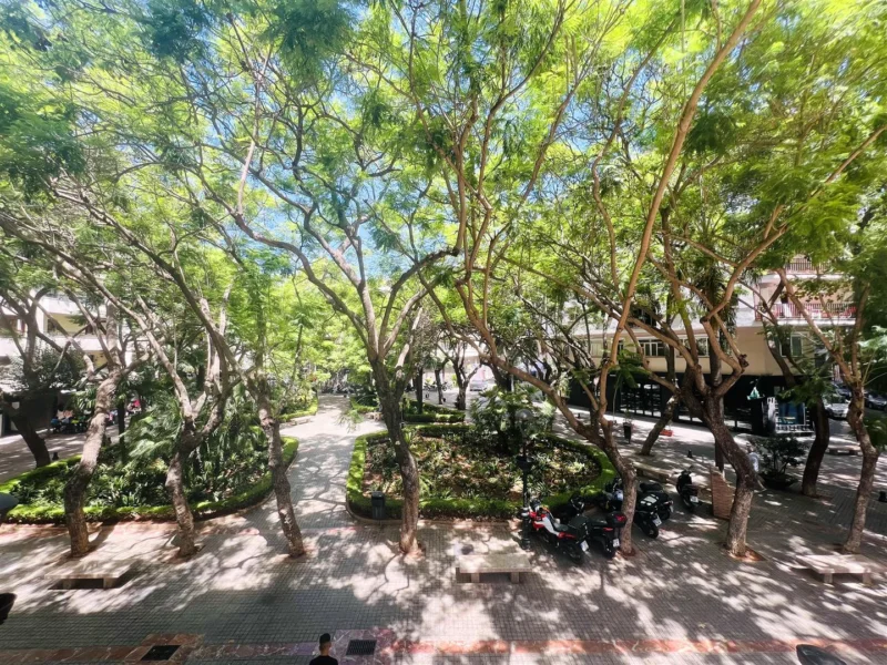 2 Bedroom Apartment with Terrace for Sale in Marbella Centro